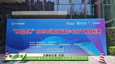 2025年湖北省青少年五子棋锦标赛成功举办