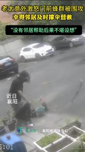 惊魂一刻！老太被蜂群包围，邻居撑伞相救：远亲不如近邻！