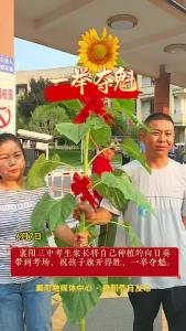 襄阳三中考生家长将自己种植的向日葵带到考场