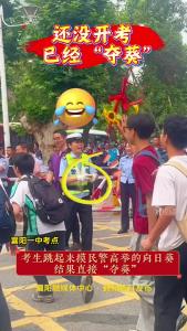 还没开考已经“夺葵”