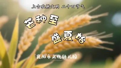 遇见芒种，快乐一夏