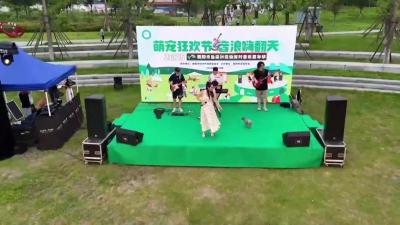 鱼梁洲举行宠物派对音乐嘉年华