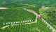 美丽农村路，带动群众富——襄阳农村公路为乡村产业撑起一片蓝天！