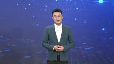 政府扶持结硕果   贝贝南瓜喜丰收