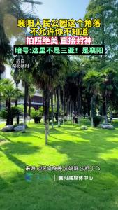 襄阳人民公园树林拍照封神