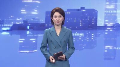 “80后”夫妻返乡筑梦：青山绿野间走出的“羊倌”致富路