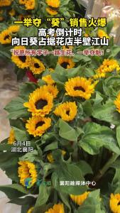 高考倒计时，花店一举夺“葵”销售火爆