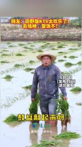 在希望的田野上唱着希望的歌，向勤劳朴实的襄阳种田人致敬 ！