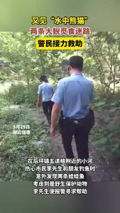 襄阳保康：两条大鲵觅食迷路，警民接力救助