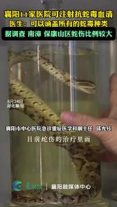 襄阳11家医院可注射抗蛇毒血清，涵盖所有蛇毒种类！
