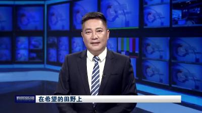 【在希望的田野上】
宜城百亩紫薯抢“鲜”上市
“枣阳皇桃”深加工集群化加速推进