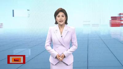 【帮女郎关注】月薪过万嫌辛苦      跨省偷电瓶“落网”