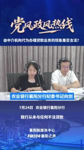 党风政风热线｜由中介机构代为办理贷款业务的现象是否合法?
