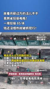放着月薪过万的活儿不干，竟跨省狂偷电瓶！一周狂偷 85 块，钱还没焐热就被抓现行！！