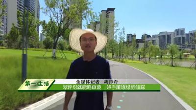 翠坪织就鹿鸣画境    妙手雕琢绿野仙踪