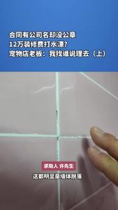 合同有公司名却没公章，12万装修费打水漂？宠物店老板：我找谁说理去（上）