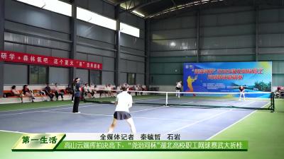 高山云端挥拍决高下，“尧治河杯”湖北高校职工网球赛武大折桂