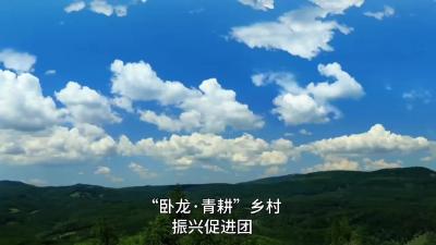 制月融茶传乡韵 青春筑梦助振兴