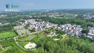 襄阳“村”游记｜奇石有韵 醉美西关