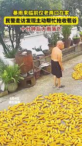 暴雨骤临，民警快速帮村民抢收苞谷