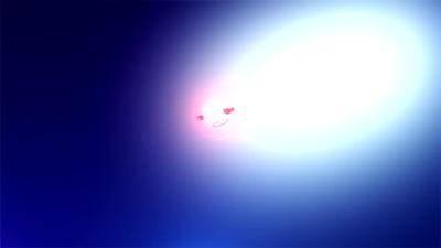 襄阳新闻2025-08-08