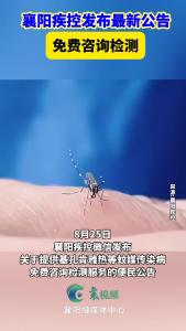 襄阳疾控发布最新公告！免费咨询检测