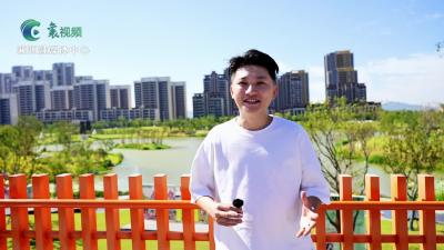 “鹿鸣邀约 银河之夜”七夕盛典实用攻略抢先看