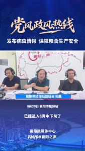党风政风热线｜发布病虫情报，保障粮食生产安全