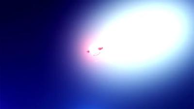 襄阳新闻2025-08-12