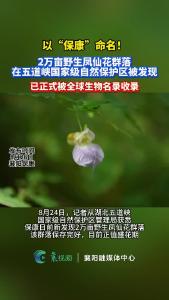 以“保康”命名，面积约2万亩！这种珍贵植物在五道峡国家级自然保护区被发现
