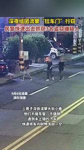 深夜组团流窜“拉车门”行窃，民警快速出击抓获3名盗窃嫌疑人