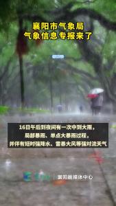 气象专报来了！
