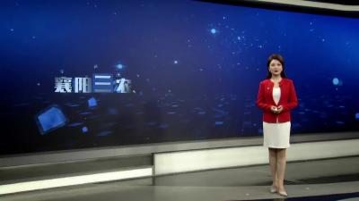 王志强：从“养鸡户”到“农业经理人”一枚鸡蛋的“智慧突破”
