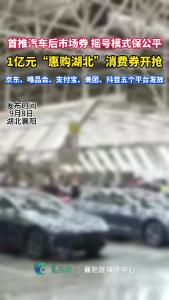 1亿元“惠购湖北”消费券开抢！首推汽车后市场券，摇号模式保公平