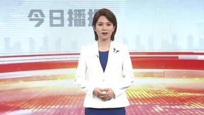 公交当婚车！这场 “低碳婚礼” 甜翻全城