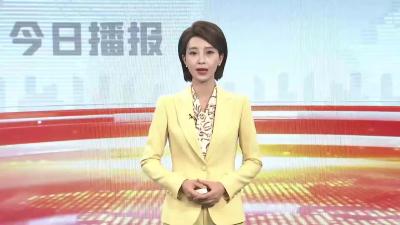 “侠义襄阳”主题出租车亮相襄阳马拉松