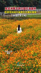 ޹²ׯ԰ʢţݺ򻪾յȻۼ