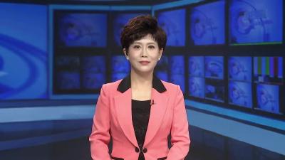 ڸڡر ̡ȫ족