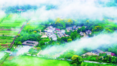 大洪山下的“美学经济”