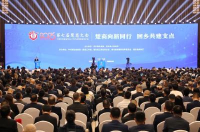 第七届楚商大会在武汉开幕 楚商向新同行 回乡共建支点 王忠林宣布开幕 李殿勋王受文致辞