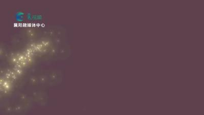 幸福花开 温暖重阳