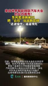东风奕派纳米01在世界智能网联汽车大会，实现业内“云控”首秀