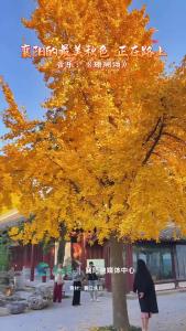 襄阳最美的秋色中听一曲《珊瑚颂》