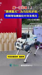 第一次出现“赛博警犬”
