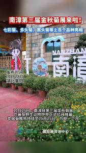 南漳金秋菊展盛大启幕 三大景区联动送福利