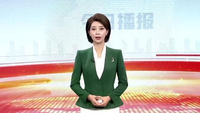 能打卡、可规划，社保服务花式上新