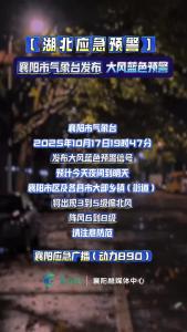 湖北应急预警：襄阳气象台发布大风蓝色预警