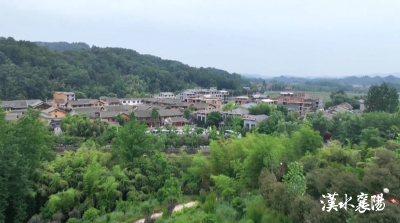 “两山”理论的生动实践：一杯茶，一片景，一条共同富裕路