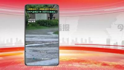 太阳要出来了！连阴雨天终于熬出头了！