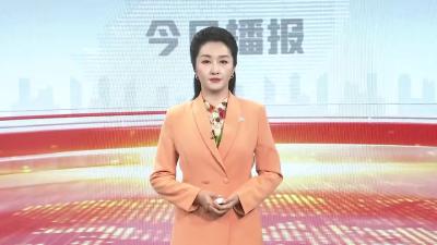 11月1日起 国产小客车新车上牌网上“一站办”